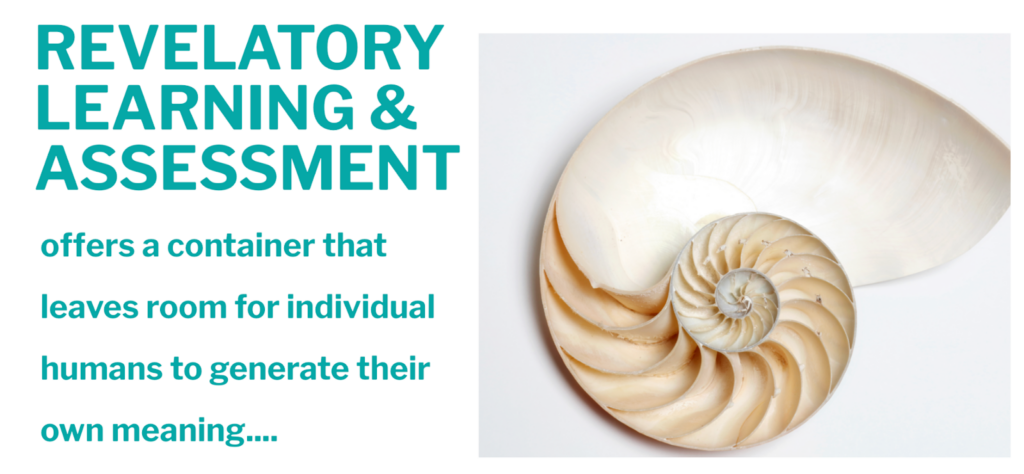 A Revelatory Mindset - what is it, and why might it be transformative for learners?