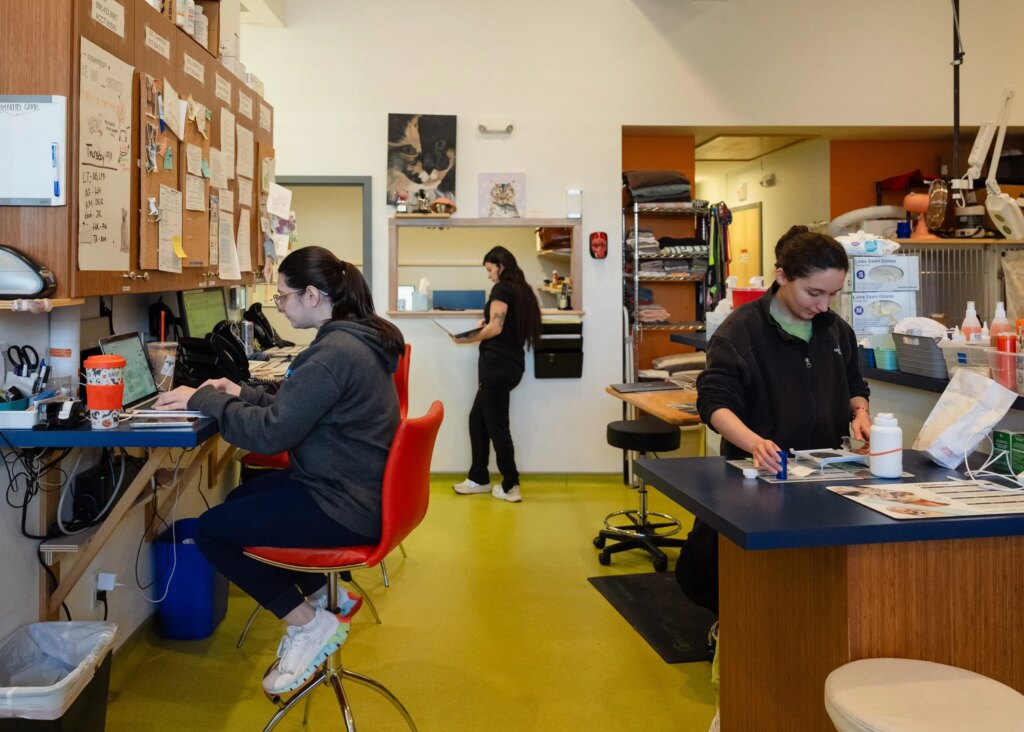 As men stop going to college, women have now overtaken them in graduate and professional degrees