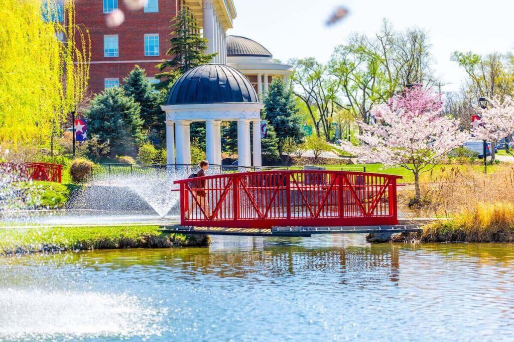 A Fabulous Fall Anticipates A Spectacular Spring