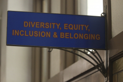 Diversity Hiring Faces a Reckoning Diversity Hiring Faces a Reckoning