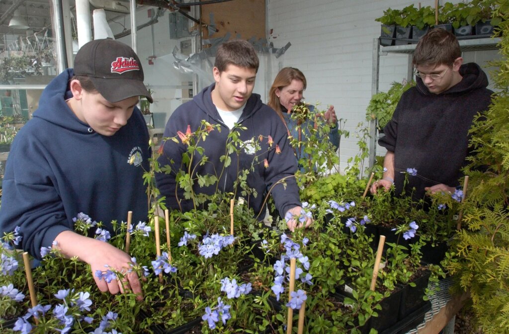 Getting boys in on climate action
