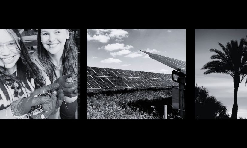 In America’s First Solar-powered Town, Education Options Abound – The 74 In America’s First Solar-powered Town, Education Options Abound – The 74