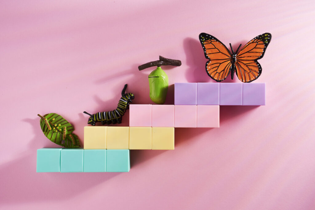 FF-white-logo-336x34