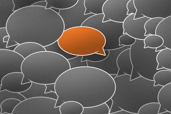 What Makes for an Effective Public Comment? What Makes for an Effective Public Comment?