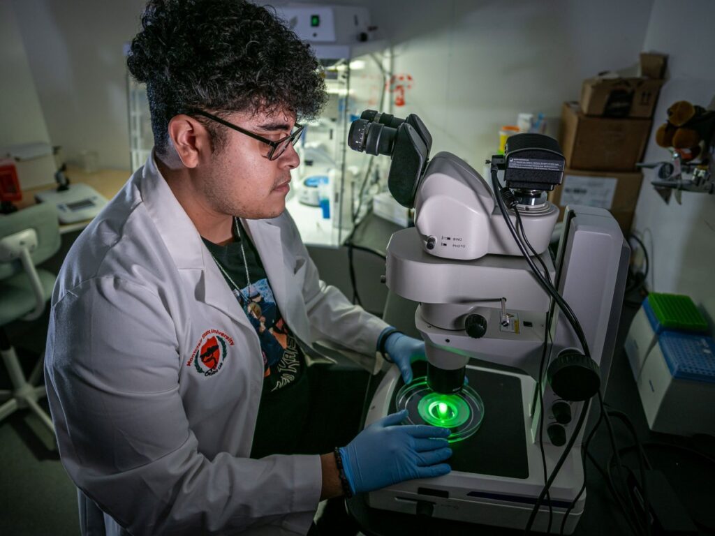 A Promise To His Grandmother Will Carry Him To A Career In Medicine – Press Room