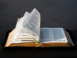 College Students Have Become Religiously Illiterate College Students Have Become Religiously Illiterate