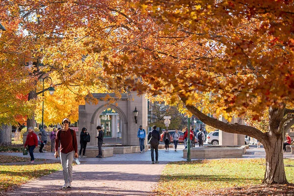 IU Biologist’s Lab Reopened but Research Is Set Back IU Biologist’s Lab Reopened but Research Is Set Back