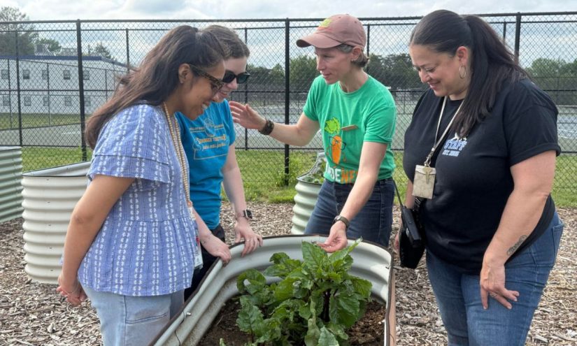 Maryland Schoolyard Farm Showcases Community Resilience – The 74 Maryland Schoolyard Farm Showcases Community Resilience – The 74